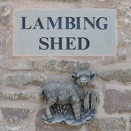 Lambing Shed - Uk12380 Villa Lydney Kültér fotó